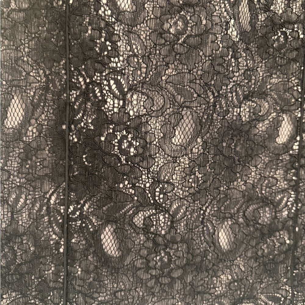 TWO H&M Black and Gray Lace Pencil Skirt - Picture 7 of 14